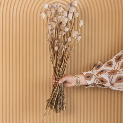 buy Poppy Pods And Seeds, - Fresh, quality-tested seeds for lush, healthy plants, - Unique pods ideal for floral arrangements or crafts